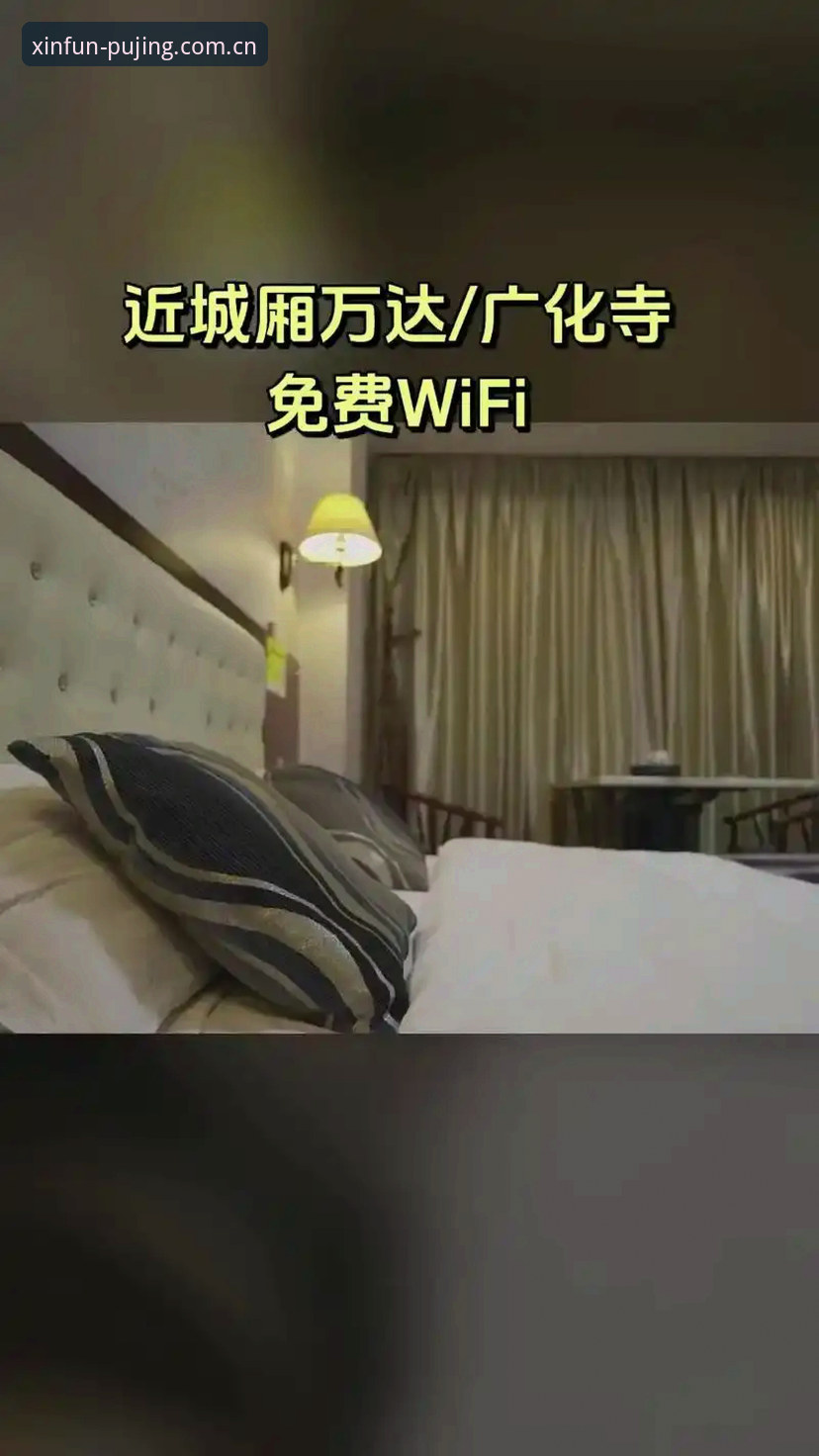 新莆京体育平台vs传统娱乐平台：用户体验与公平性全面对比分析
